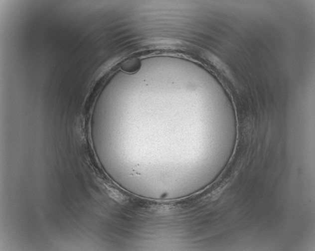 X0000072510970200607290128