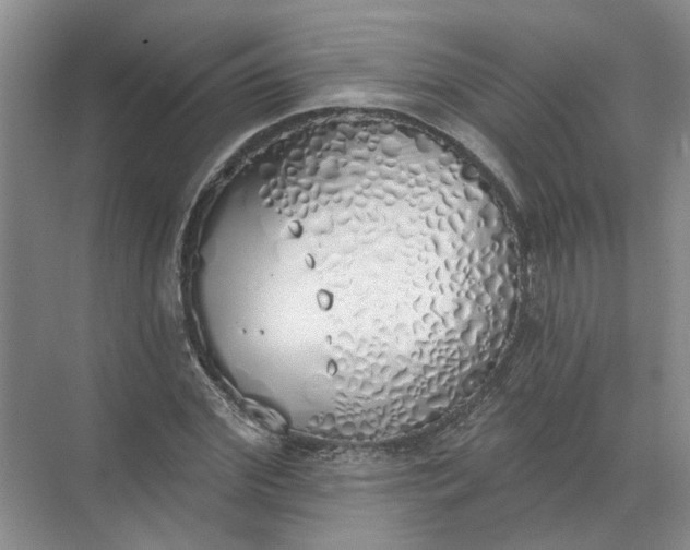 X0000072510972200607290128