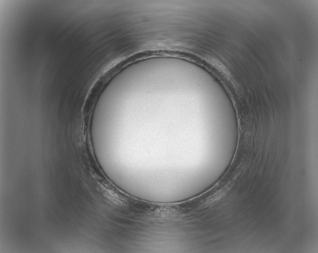 X0000072510974200607290128