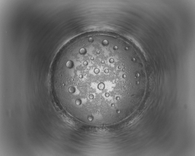 X0000072510975200607290128