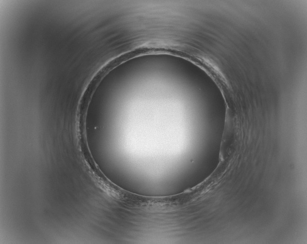 X0000072510976200607290128