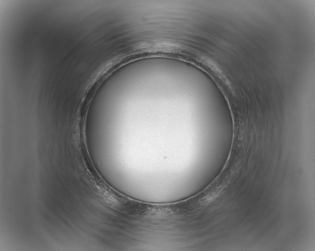 X0000072510978200607290128