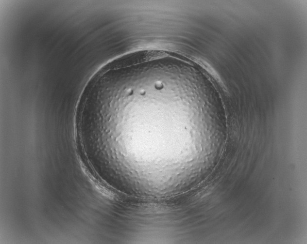 X0000072510980200607290128