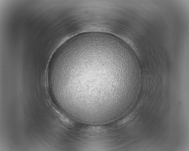 X0000072510982200607290128