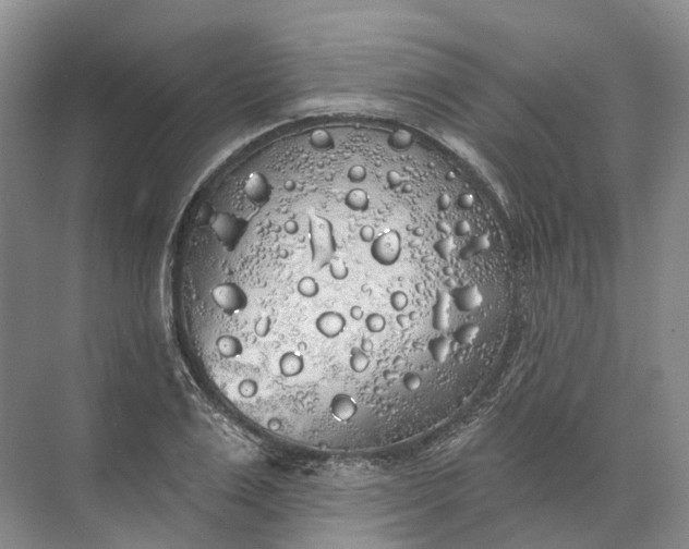 X0000072510983200607290128