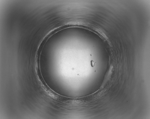 X0000072510984200607290128