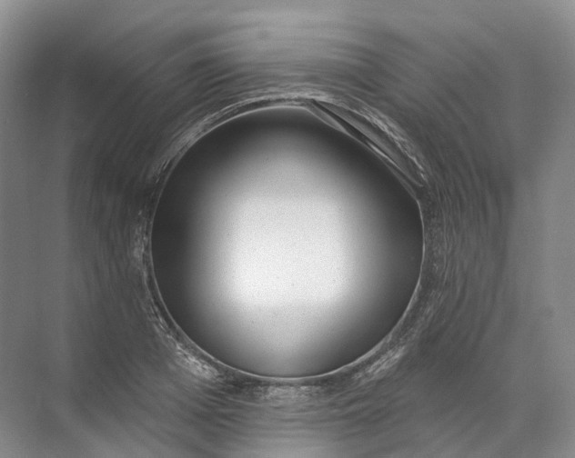 X0000072510985200607290128