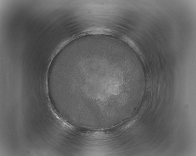 X0000072510986200607290128