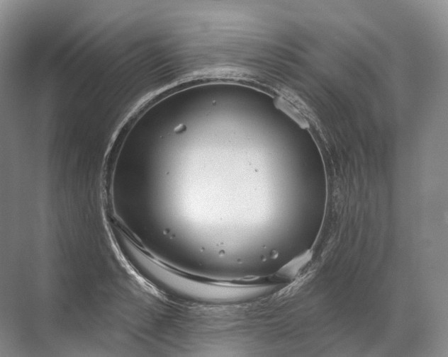 X0000072510989200607290128