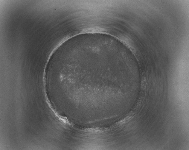 X0000072510990200607290128