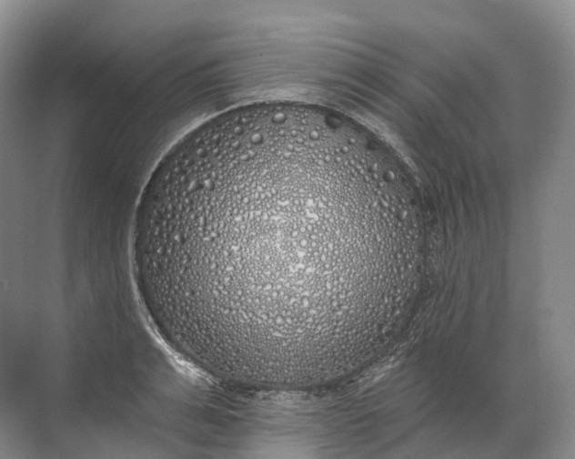 X0000072510991200607290128