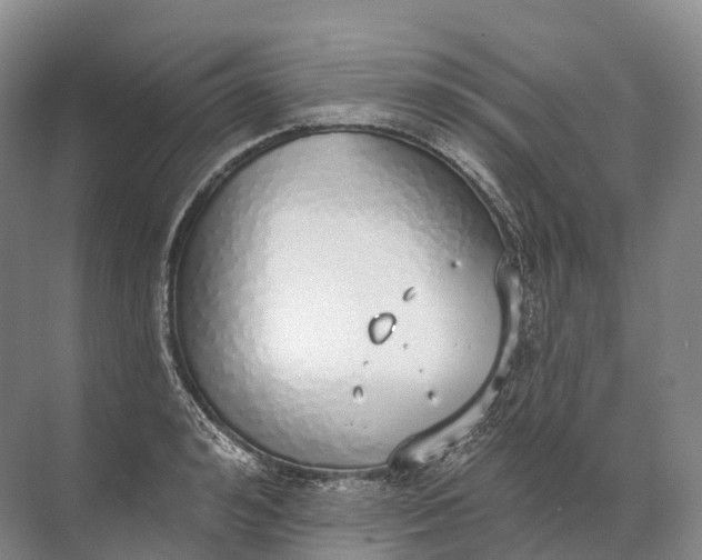 X0000072510992200607290128