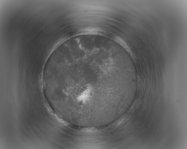 X0000072510994200607290128