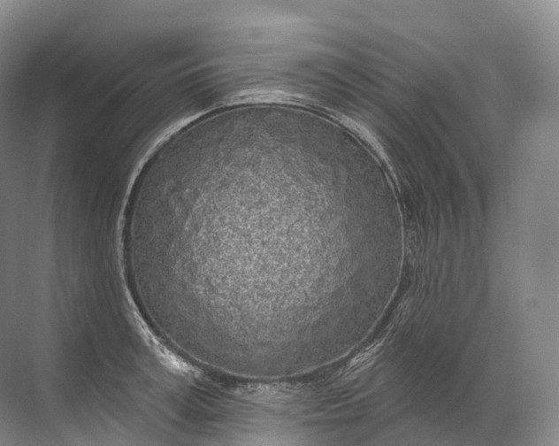 X0000072510995200607290128