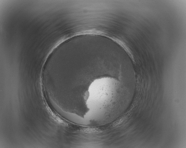 X0000072510998200607290127