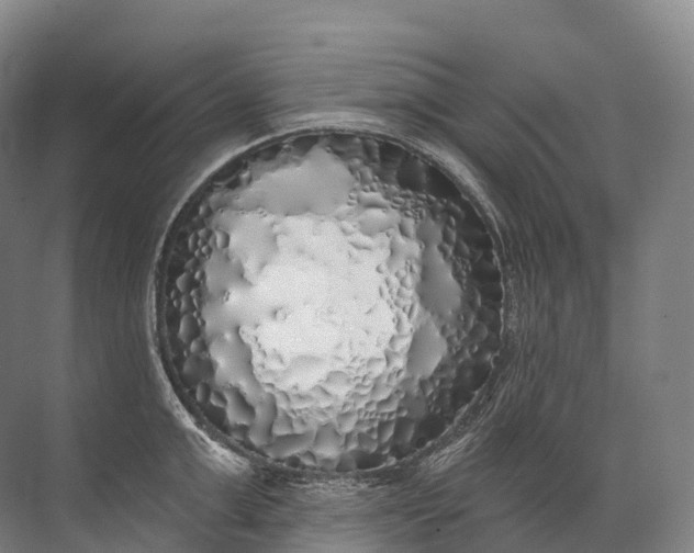 X0000072510999200607290127