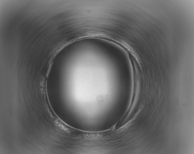 X0000072511001200607290127