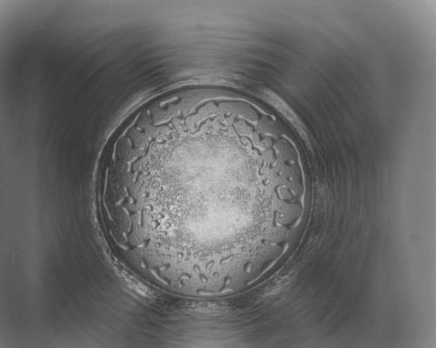 X0000072511002200607290127