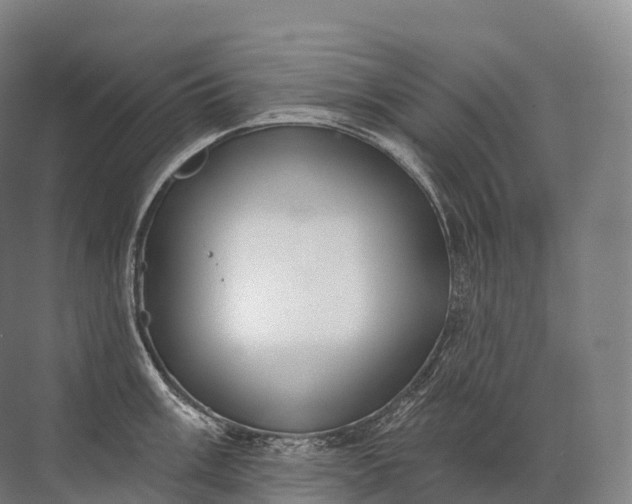 X0000072511003200607290127