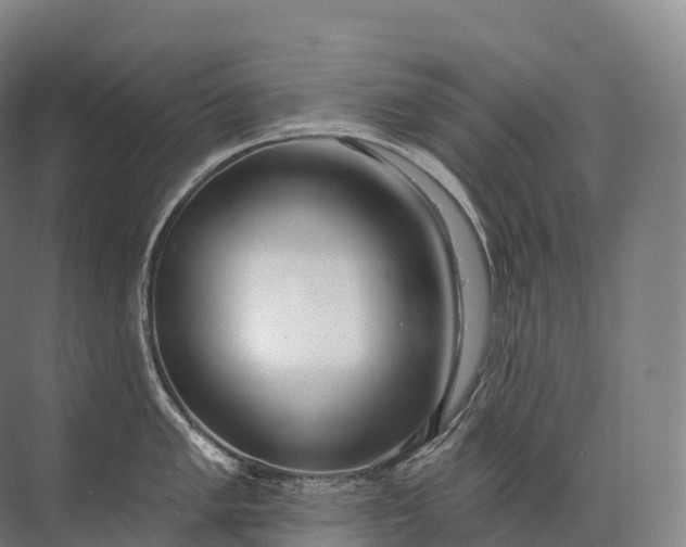 X0000072511005200607290127