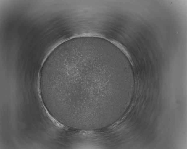 X0000072511006200607290127