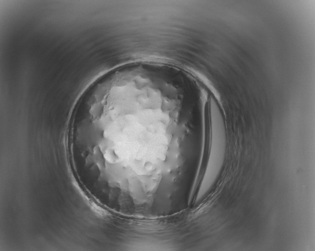 X0000072511007200607290127