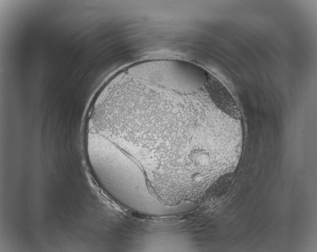 X0000072511008200607290127