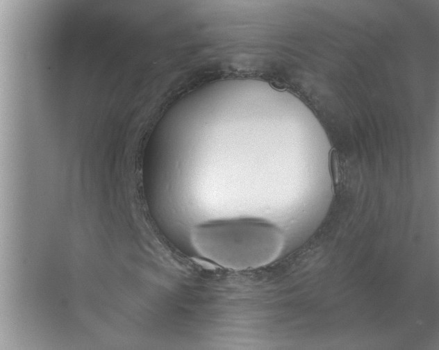 X0000072511009200607290127