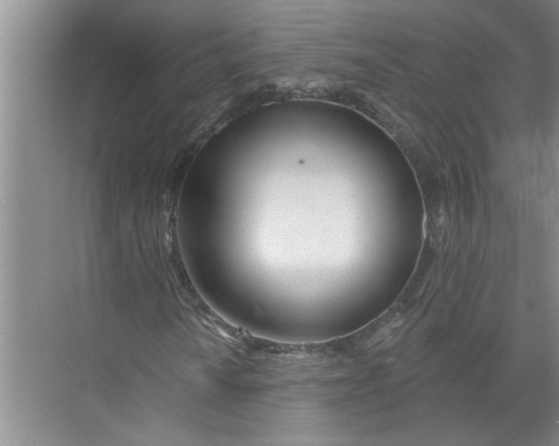 X0000072511010200607290127