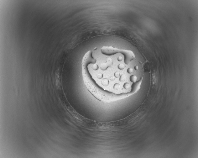 X0000072511011200607290127