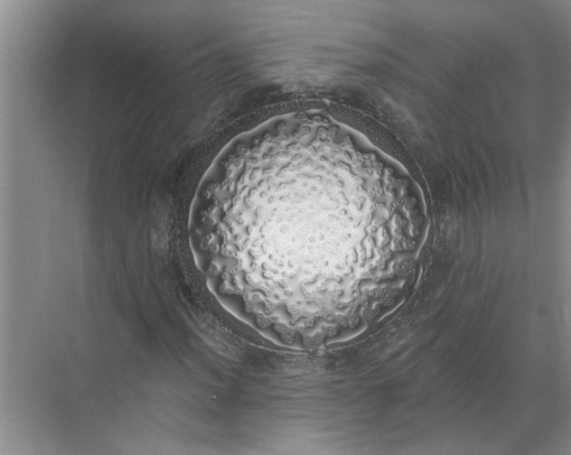 X0000072511012200607290127