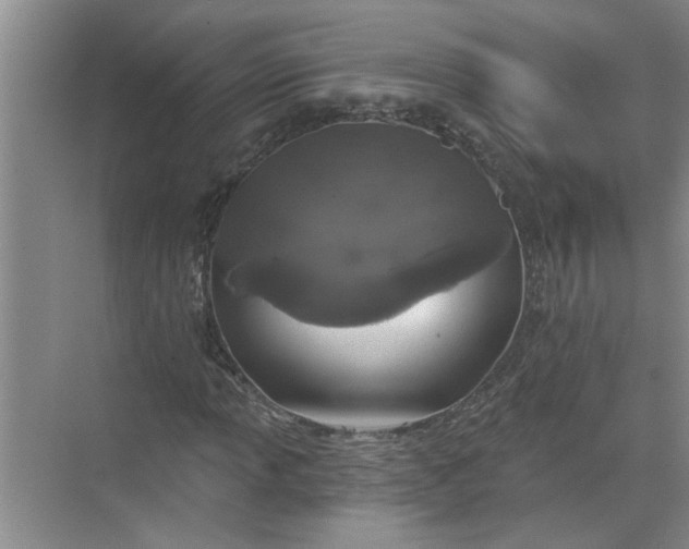 X0000072511013200607290127