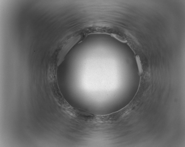 X0000072511014200607290127