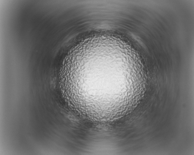 X0000072511015200607290127