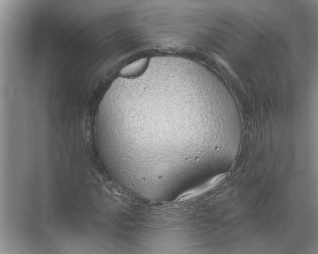 X0000072511016200607290127