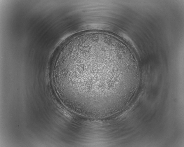 X0000072511019200607290127