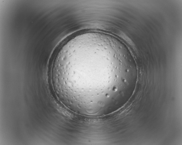 X0000072511020200607290127