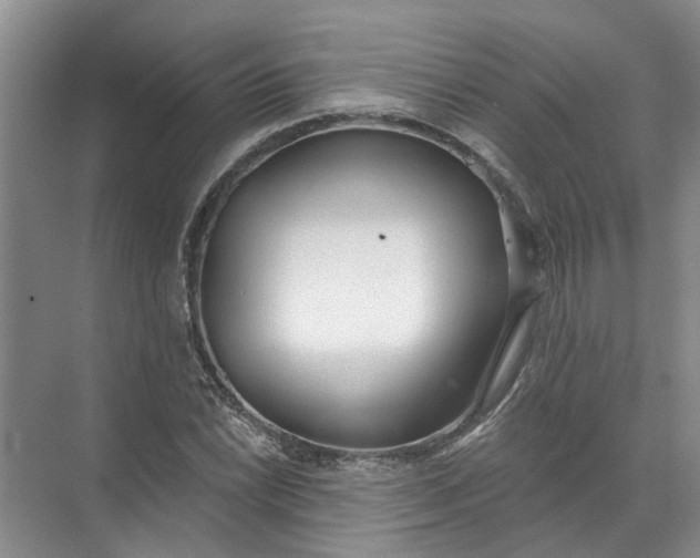 X0000072511022200607290127