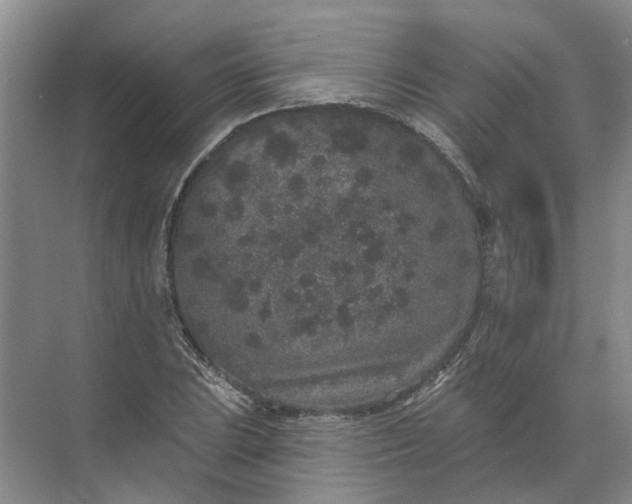 X0000072511023200607290127