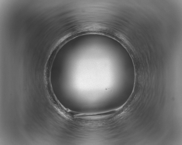 X0000072511026200607290127