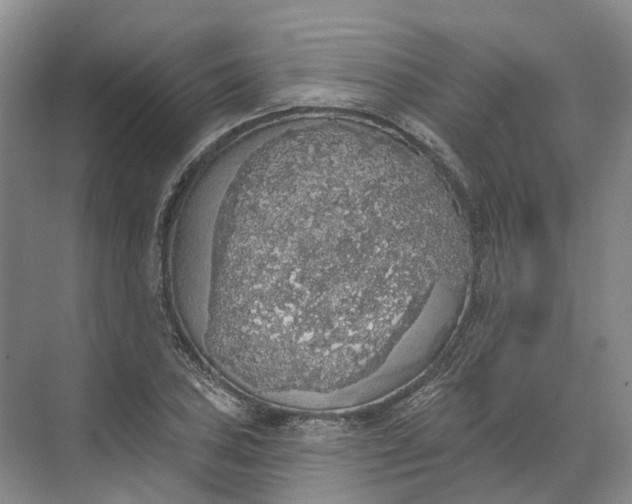 X0000072511027200607290127