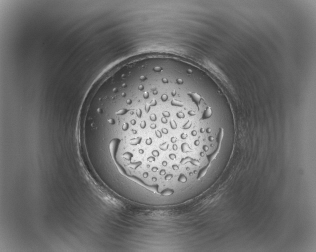 X0000072511028200607290127