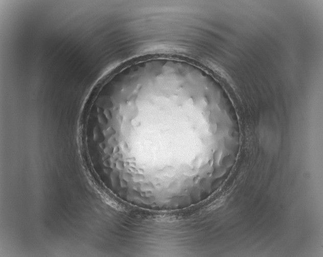 X0000072511029200607290127