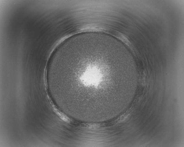 X0000072511030200607290127