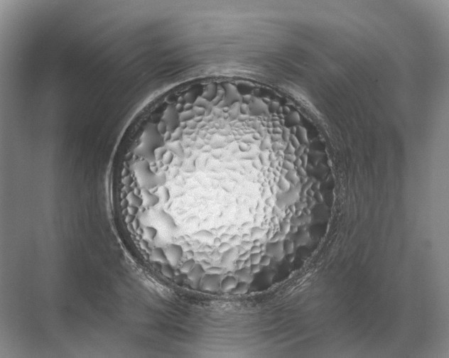 X0000072511032200607290127