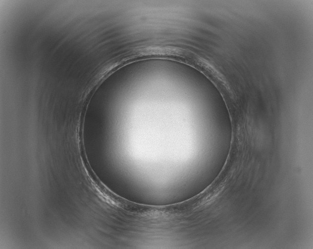 X0000072511033200607290127