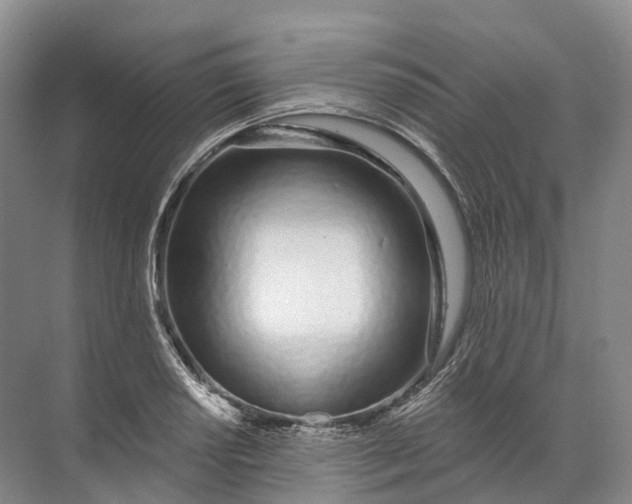 X0000072511034200607290127