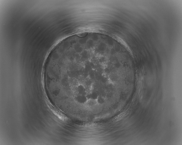 X0000072511035200607290127