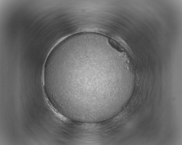 X0000072511036200607290127