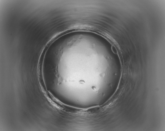 X0000072511037200607290127